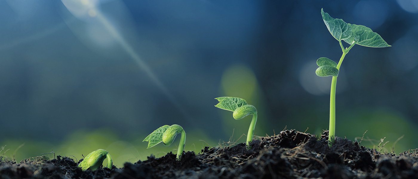 PG���ӡ��й����ٷ���վ-PGƽ̨�Ż���վ